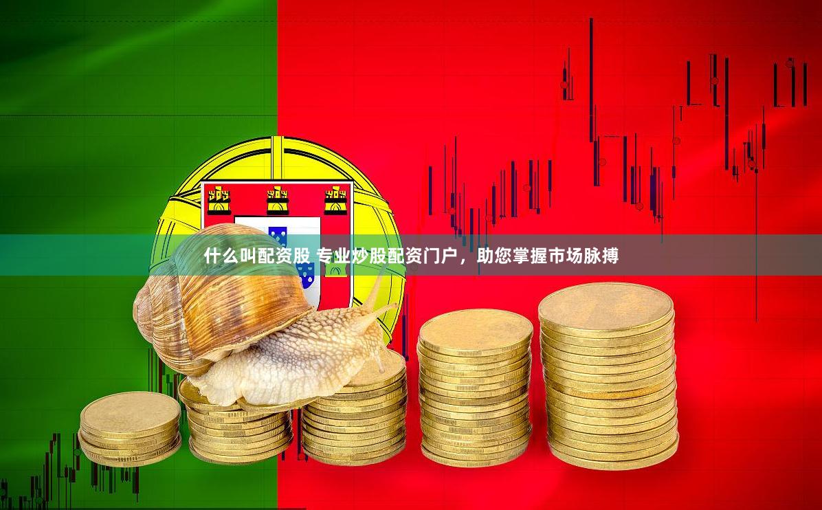 什么叫配资股 专业炒股配资门户，助您掌握市场脉搏